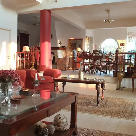 Captain's View * Неа-Эпидаврос